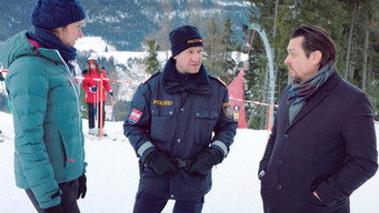 Steirerkind media image