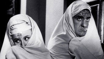 #13 Carry On Spying