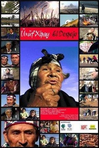 Üxüf Xipay