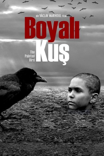 Boyalı Kuş (2019) Boyalı Kuş (2019)