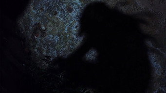 A Dark Path (2020)