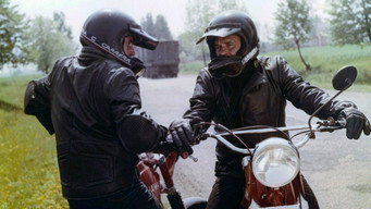Private investigation (1987)