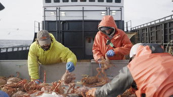 Deadliest Catch S19E8 poster