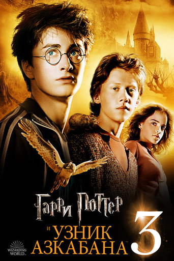 Poster 244