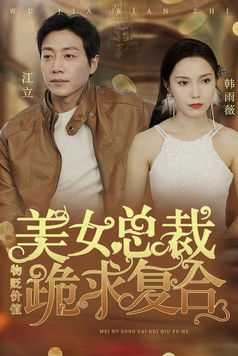 物价贬值，美女总裁跪求复合