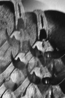 Silent Chirping of Invisible Digits poster