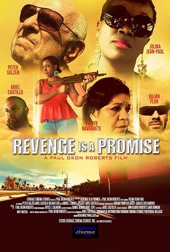 Poster för Revenge is a Promise