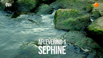 第1話：Sephine