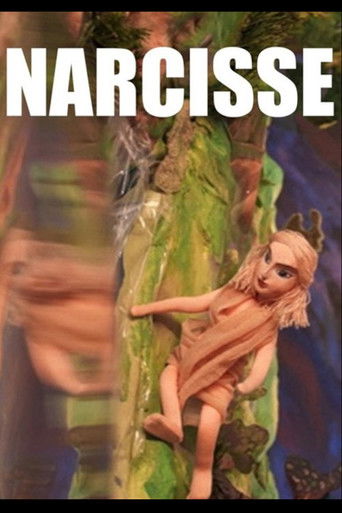 Narcisse poster
