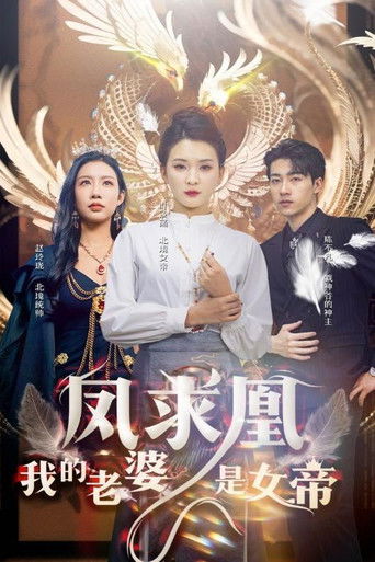 凤求凰我的老婆是女帝 poster