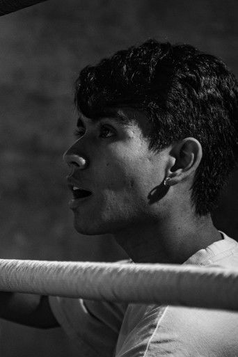 David Pallares Bretón — photo 3