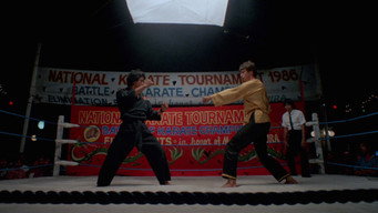 #8 Karate Warrior