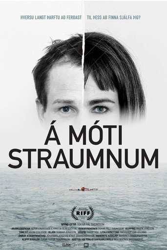 Poster 3