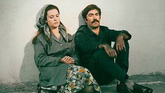 Blood Money (1974)