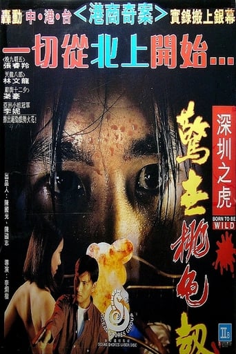 Poster of 深圳之虎：驚世桃色劫