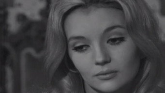 Les dossiers de Jérôme Randax (1965-1966)