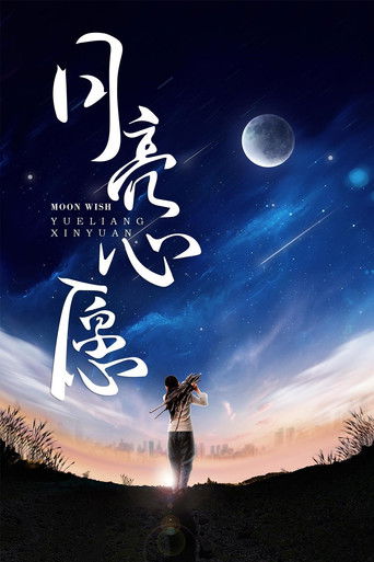 月亮心愿 poster