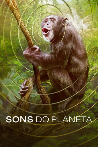 Cena de Sons do Planeta