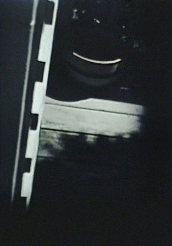 Precarious Garden poster 2