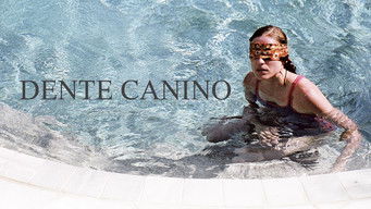 Cena de Dente Canino