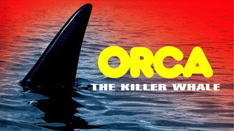 Orca backdrop 9