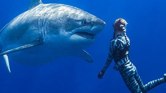 #7 Saving Jaws
