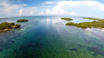 #4 Castro's Secret Reef