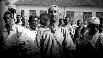 #2 Brazilian Holocaust