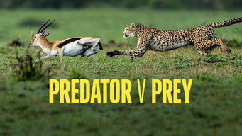 Predator v Prey (2024- )
