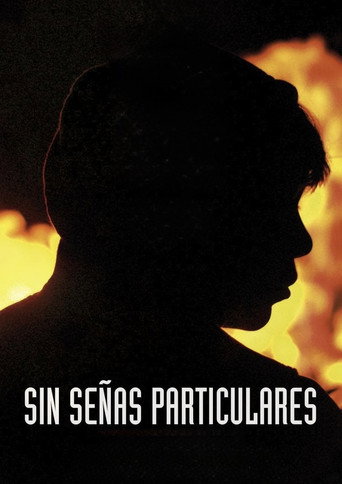 Sin Señas Particulares — Pôsteres 16