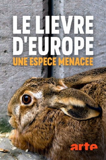 Le lièvre d’Europe une espèce menacée poster