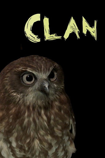 Clan galeri 4