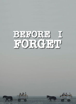 Before I Forget poster
