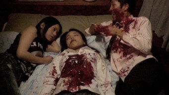 #49 Noriko's Dinner Table