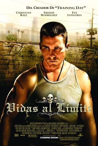 Poster of Vidas al límite