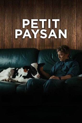 Petit Paysan - Un eroe singolare