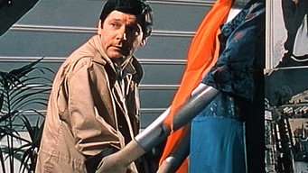Inspector Vinko (1984-1985)