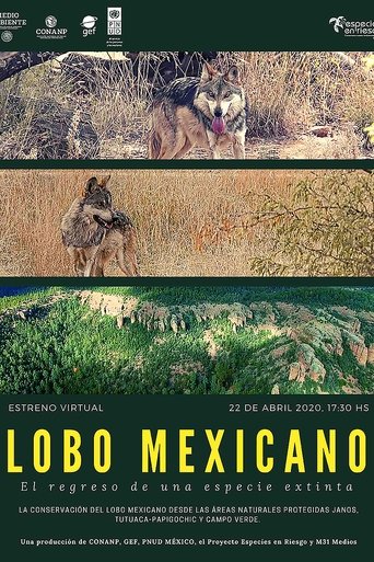 Lobo Mexicano en streaming 