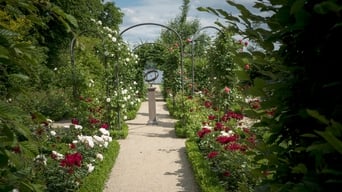 Painting the Modern Garden: Monet to Matisse (2016)