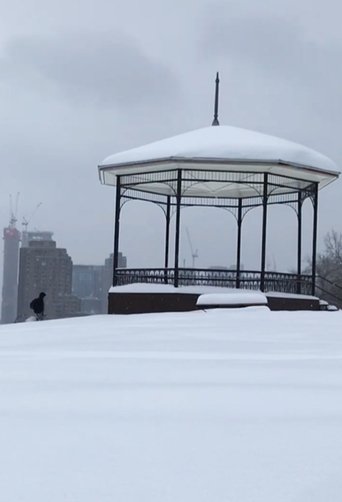 After a snowstorm (2023)