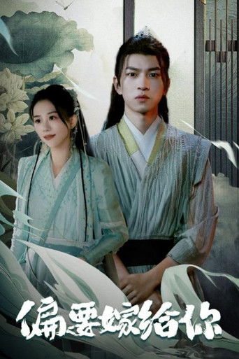 偏要嫁给你 poster