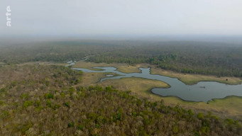 #8 Destination Wild: India