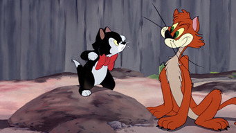 #4 Банний день
