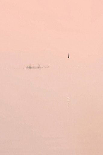 Out of Autofocus (2016)