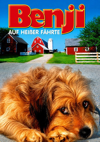 Poster 9