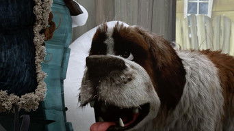 Galeria 4 - Snowtime!