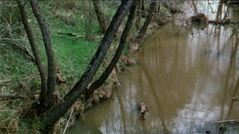 The Legend of Boggy Creek (1972)