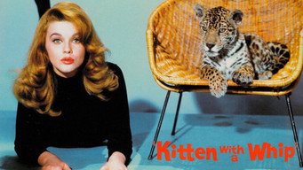 #10 Kitten with a Whip