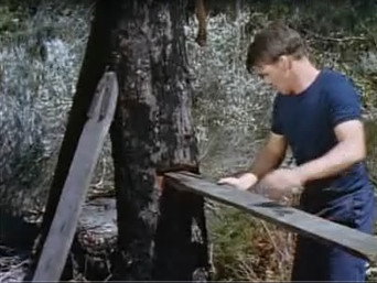 The Axeman