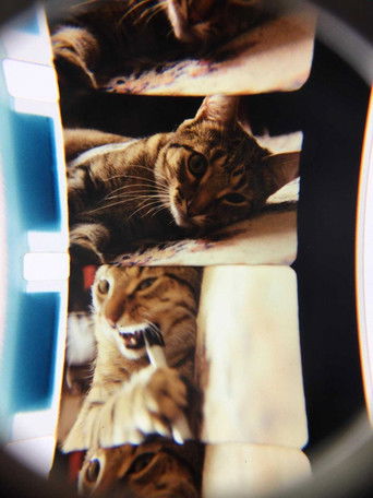 Bell & Howell poster